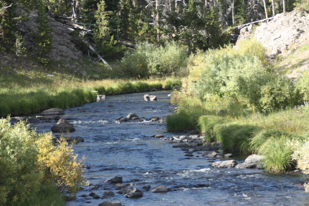 Brooks Lake Creek Below