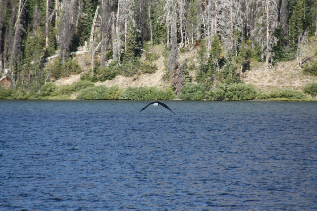 Brooks Lake 4