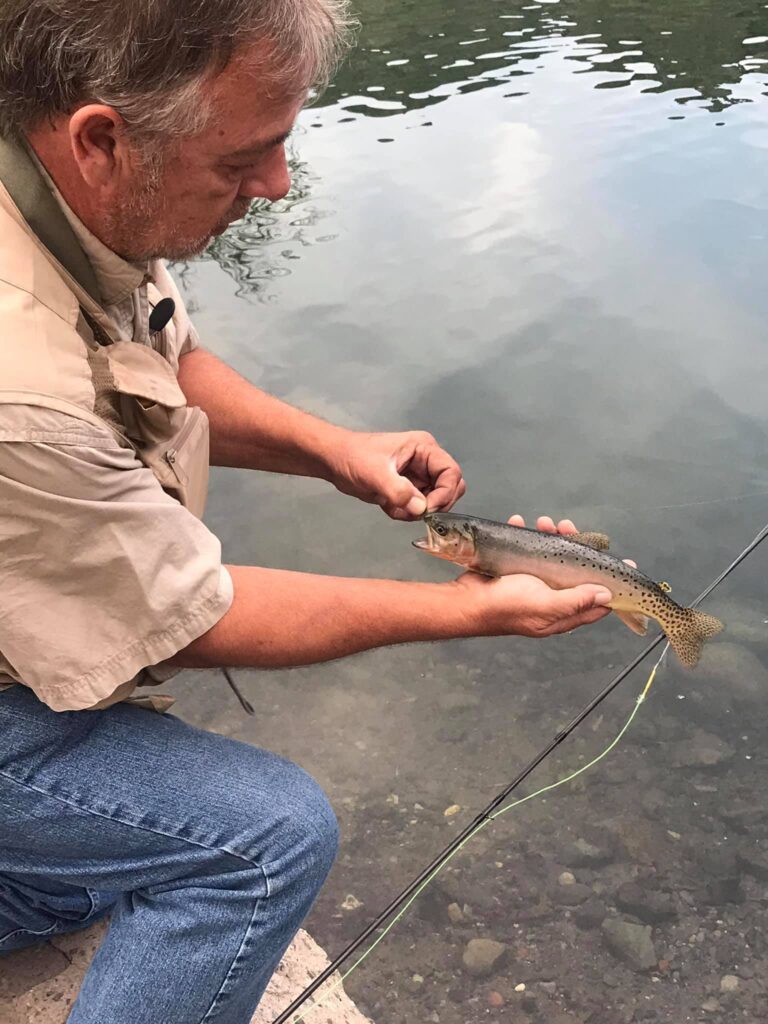 wind river lake trout